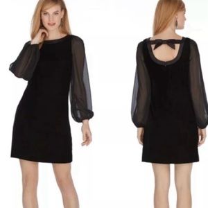 WHBM Chiffon Sleeve Velvet Shift black Bow Back Dress 10
